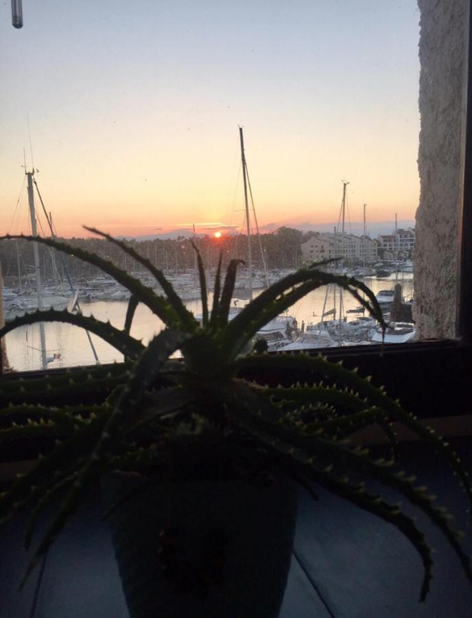 孔格林Petit Cocon Magnifique Vue Sur Marina Dans Le Golfe De Saint Tropez公寓 外观 照片
