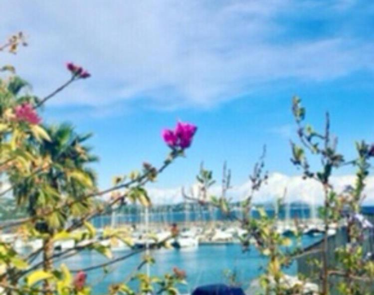 孔格林Petit Cocon Magnifique Vue Sur Marina Dans Le Golfe De Saint Tropez公寓 外观 照片
