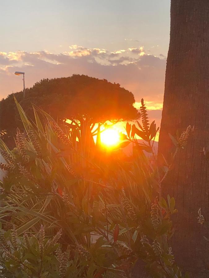 孔格林Petit Cocon Magnifique Vue Sur Marina Dans Le Golfe De Saint Tropez公寓 外观 照片