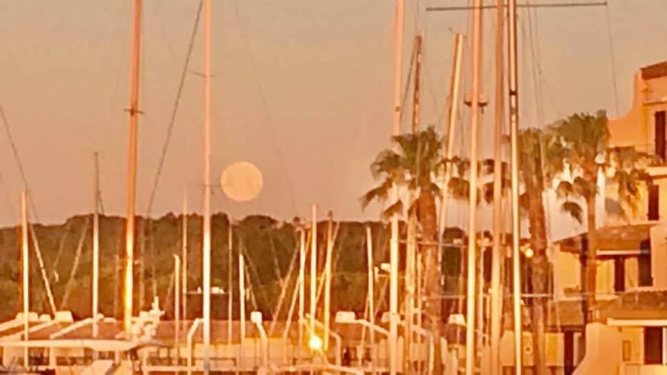 孔格林Petit Cocon Magnifique Vue Sur Marina Dans Le Golfe De Saint Tropez公寓 外观 照片